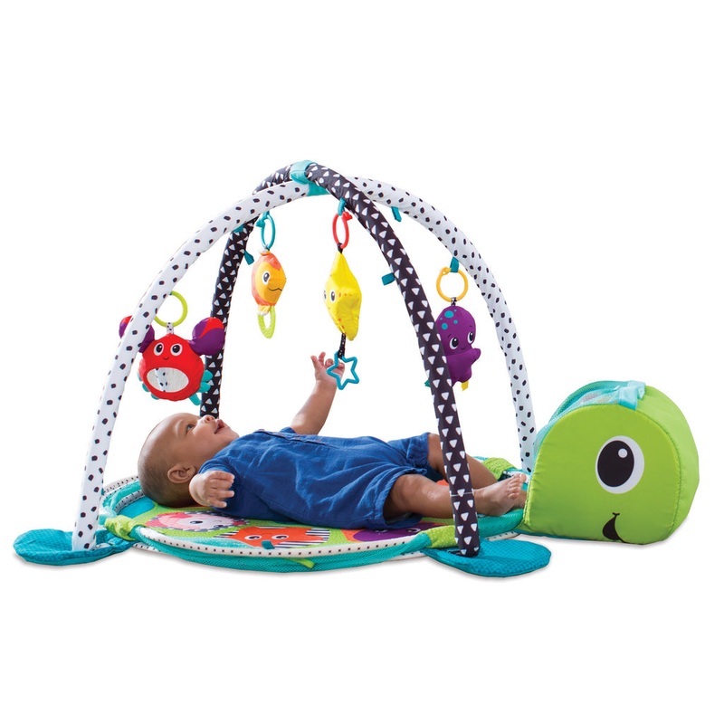 Gym & Ball Mat Pit-Turtle FTS32311