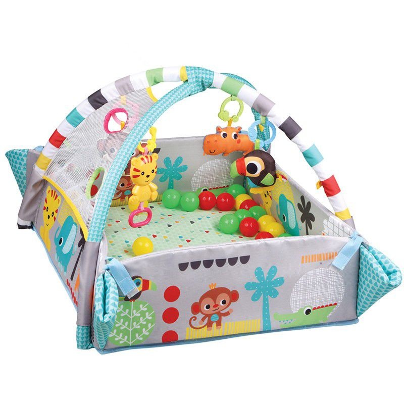 Gym & Ball Mat Pit-5 ways FTS32309