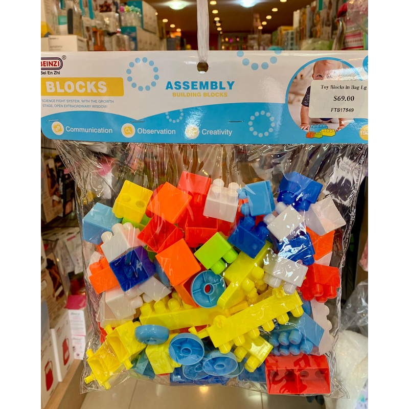 Toy Blocks in Bag Lg FTS17549