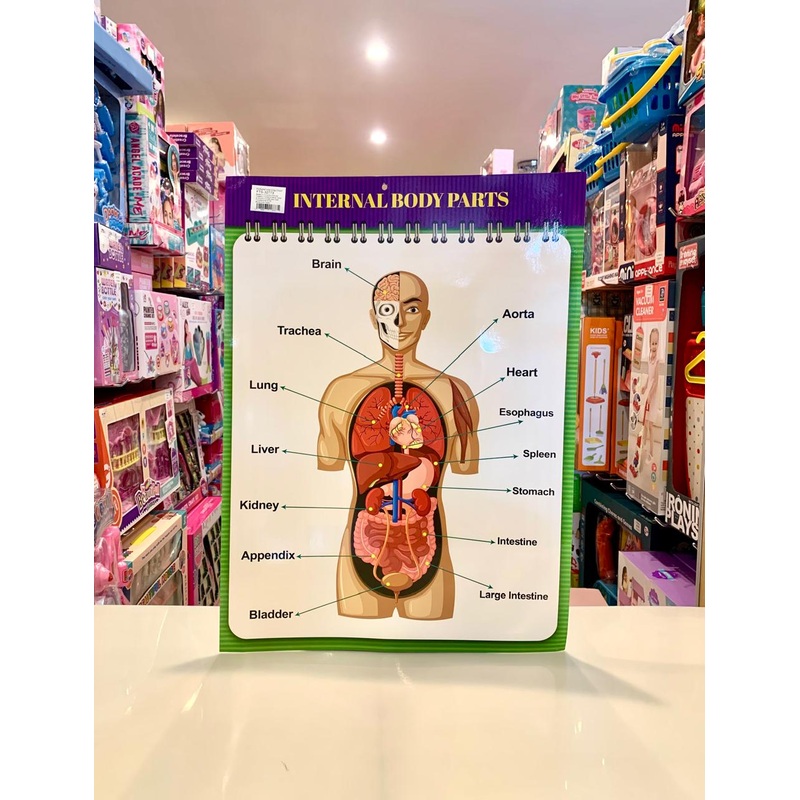 Educational Chart Body Parts FTS32773