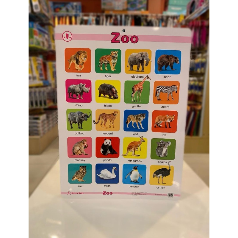 Educational Chart Zoo FTS32765