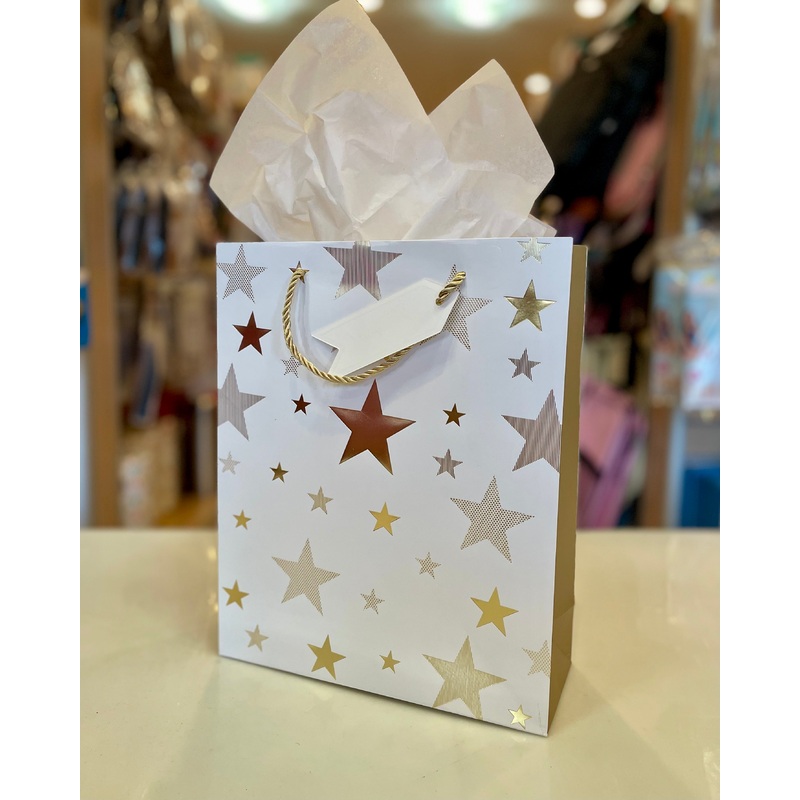 Gift bag Gold/White 10*12FTS32704