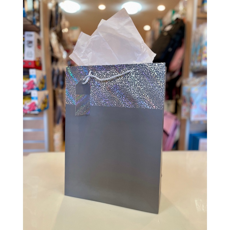 Gift Bag With Dots 16*12 fts32708