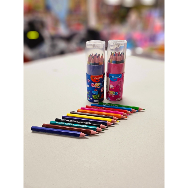 Stationery Colour Pencils FTS13169