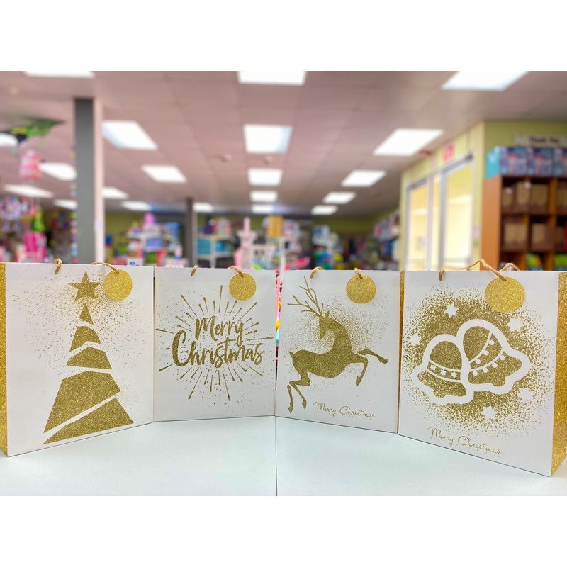 Gift Bag Christmas 10*12 FTS15639