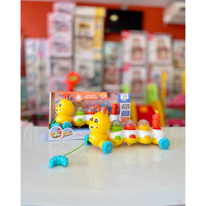 Toy Caterpillar in Window Box FTOY2024011