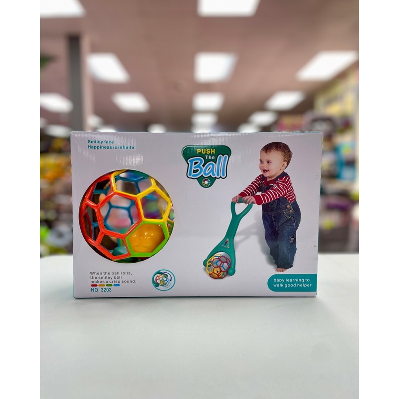 Toy Push Along Ball FTOY2024015
