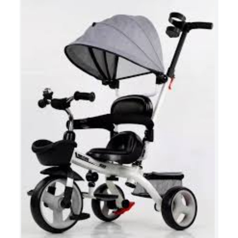 Tricycle w/Sunshade FTS32341