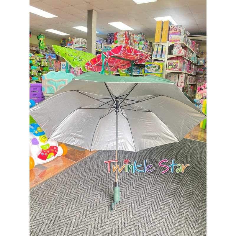 Umbrella Foldable FTS29705