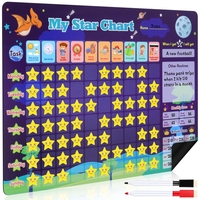 Magnetic Reward Chart FTS17948