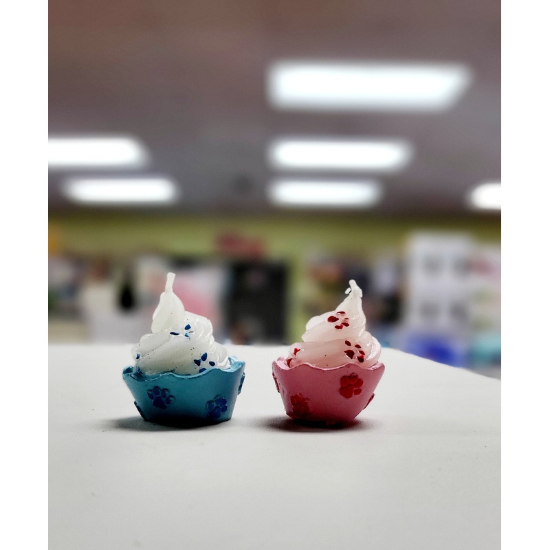 Token Candle-Cupcake Design  FTS23111