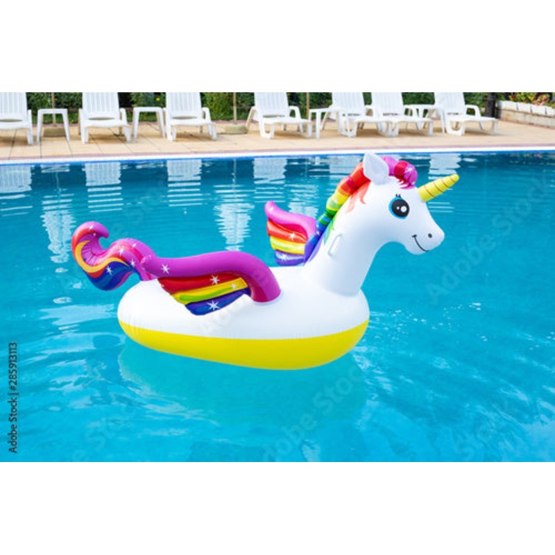 Unicorn Pool FTS17564