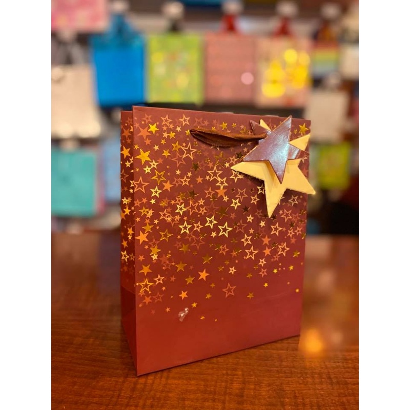 Gift Bag Star 7×9 FTS11655