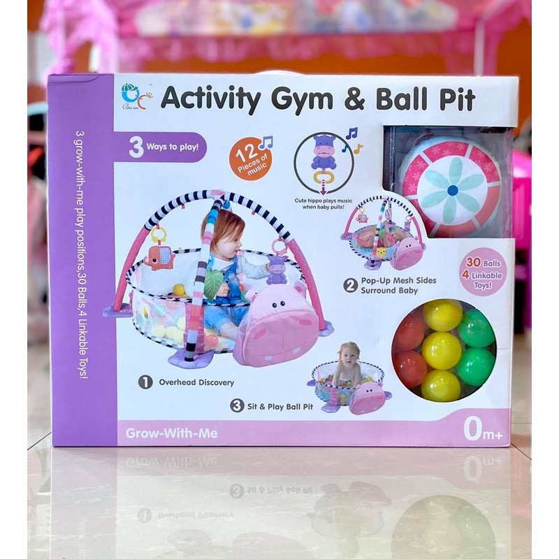 Gym & Ball Mat Pit-Hippo FTS32313