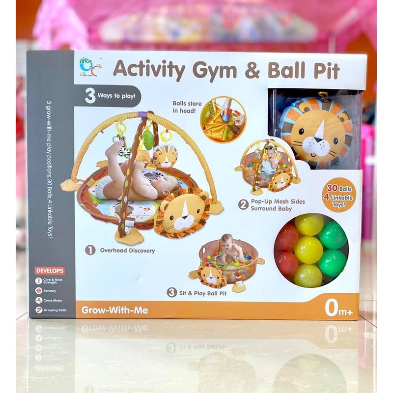 Gym & Ball Mat Pit-Lion FTS32312