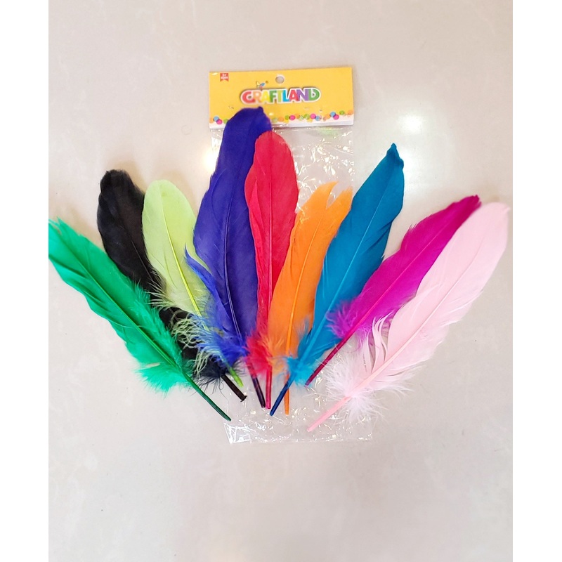 Craft Feathers 6pk fts23605