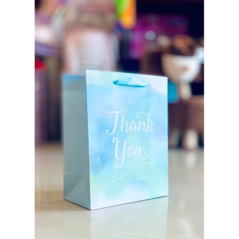Gift Bag Thank you 7×9 fts11682