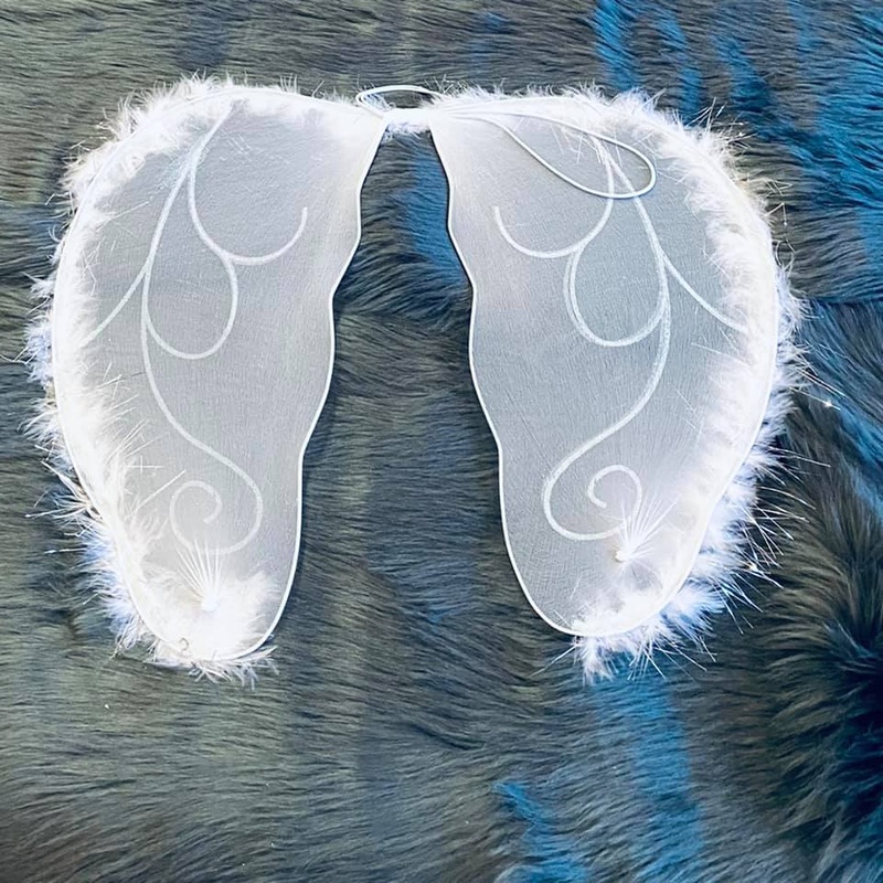 Party Dress Up Angel Wings FTS19148