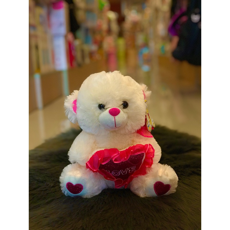 Teddy 10 FTS23662
