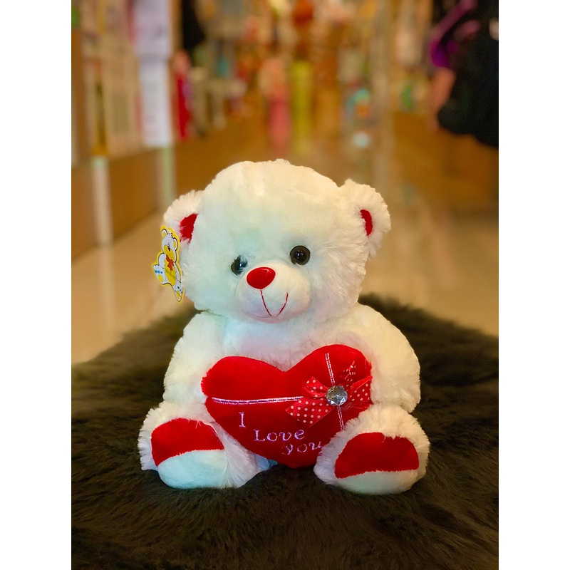 Teddy 11FTS23660