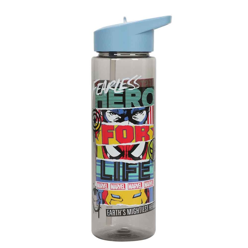 Marvel Universe Character 24 oz. Single Wall Water Bottle
