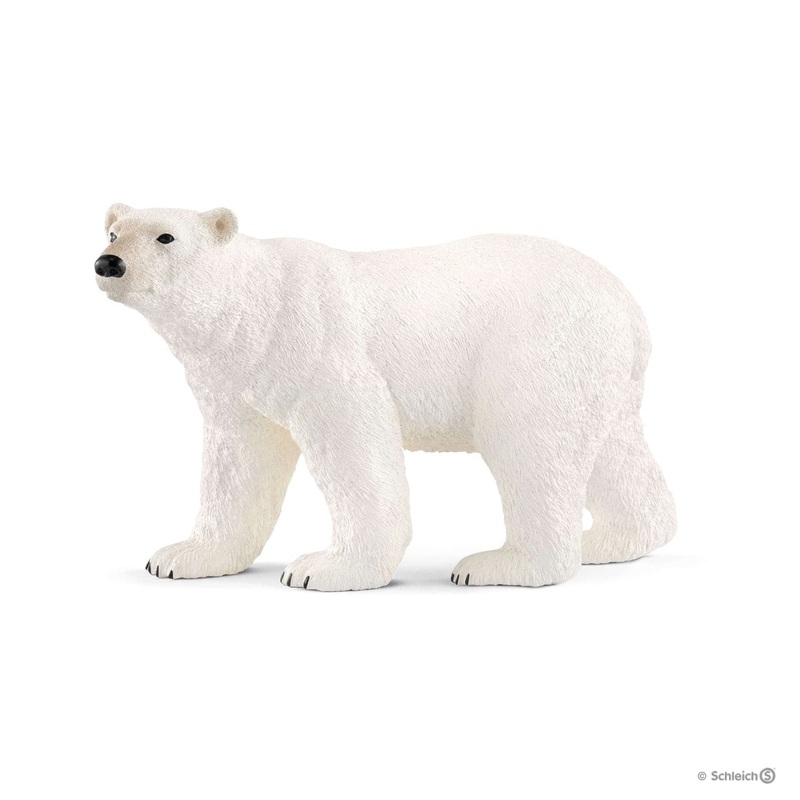 Polar Bear