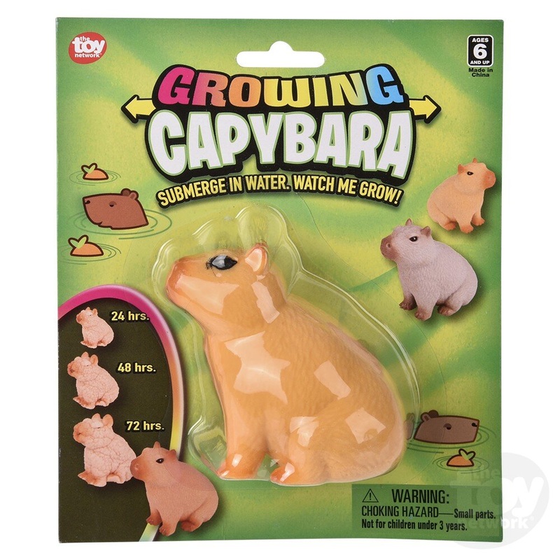 3 Growing Capybara