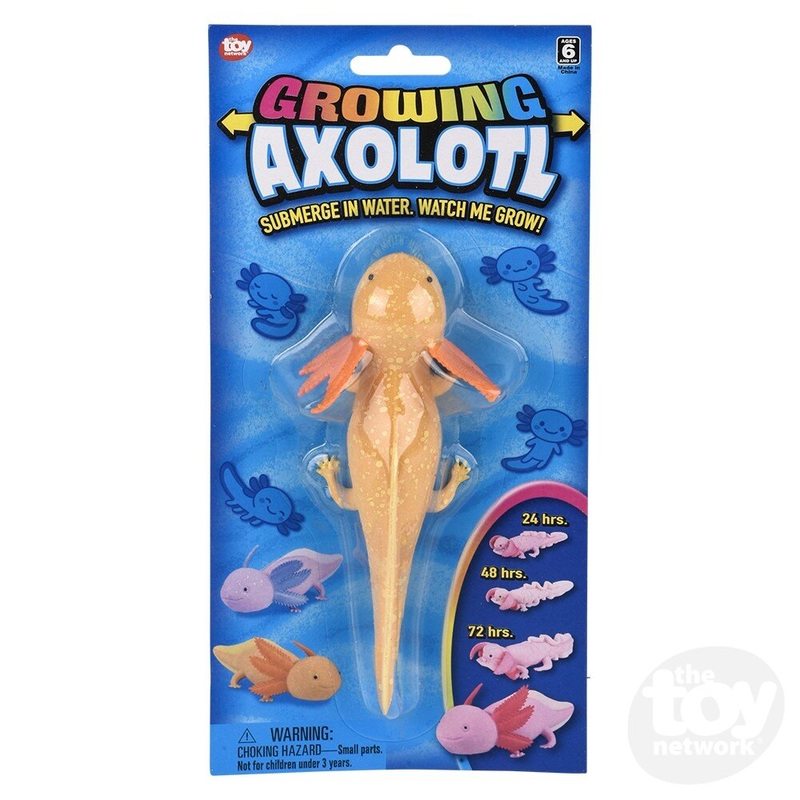 6 Growing Axolotl