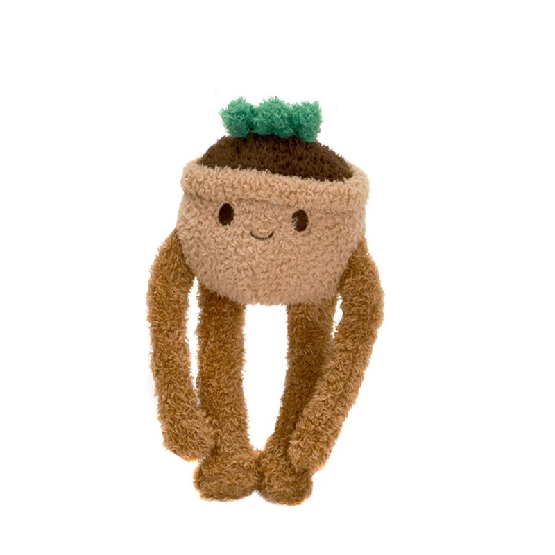 Noodlez – 8.5 Bean Bag Succulent