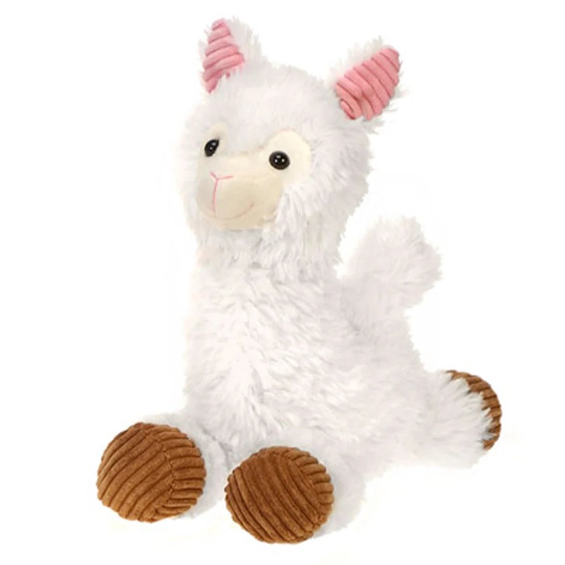 Scruffy – 10 Llama