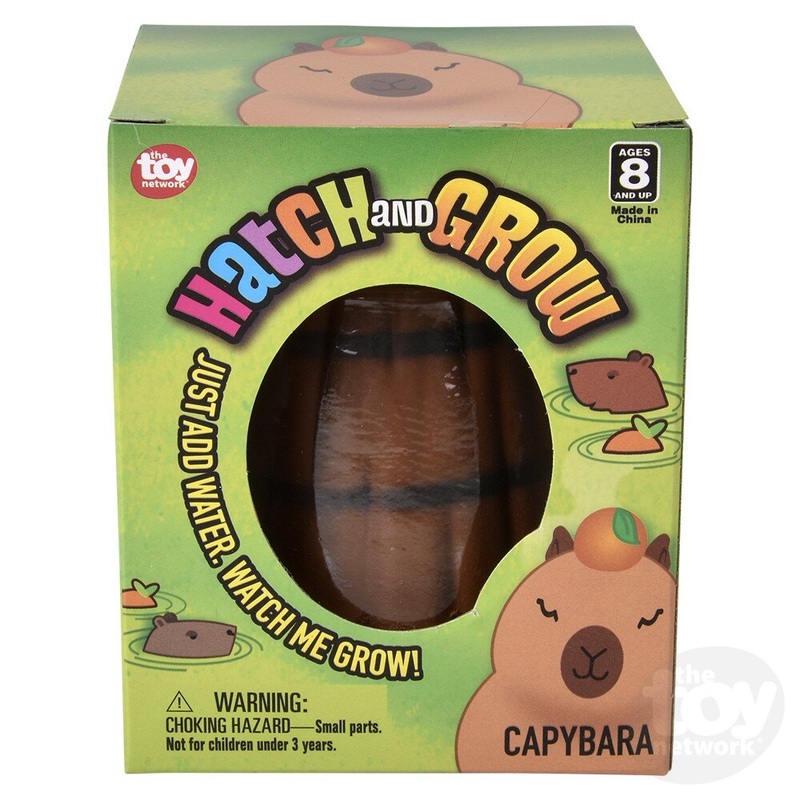 Small Hatch And Grow Capybara Egg 2.5