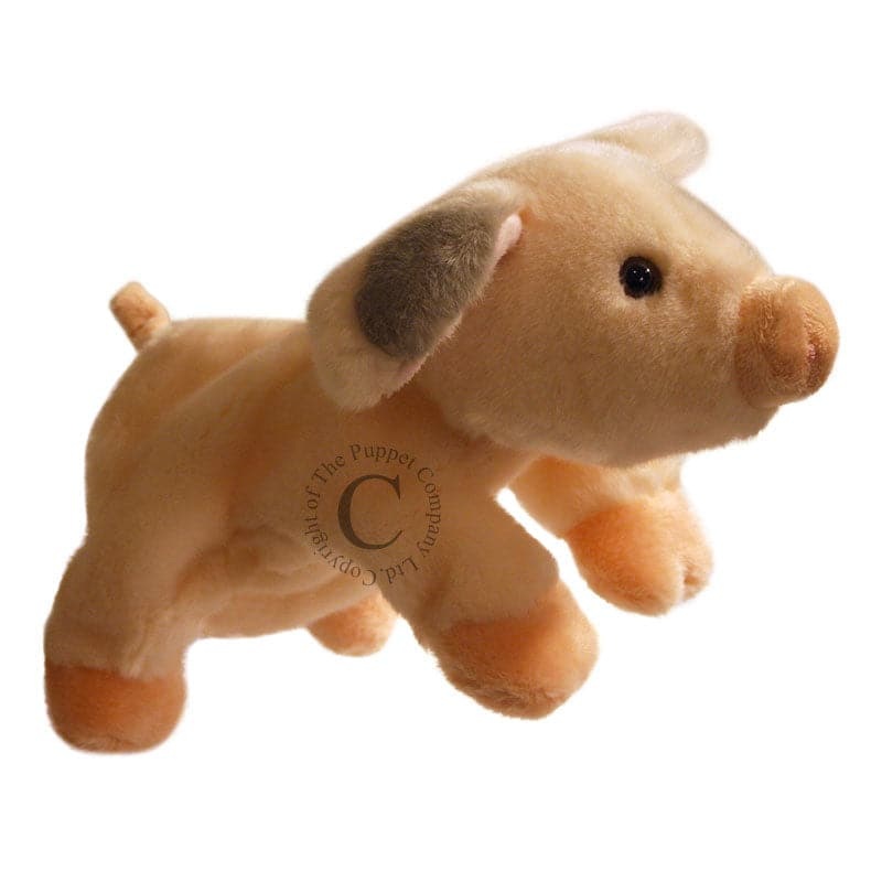 Full Bodied Puppets – Pig