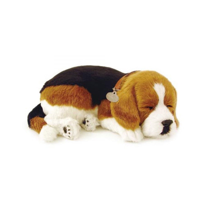 Perfect Petzzz Beagle