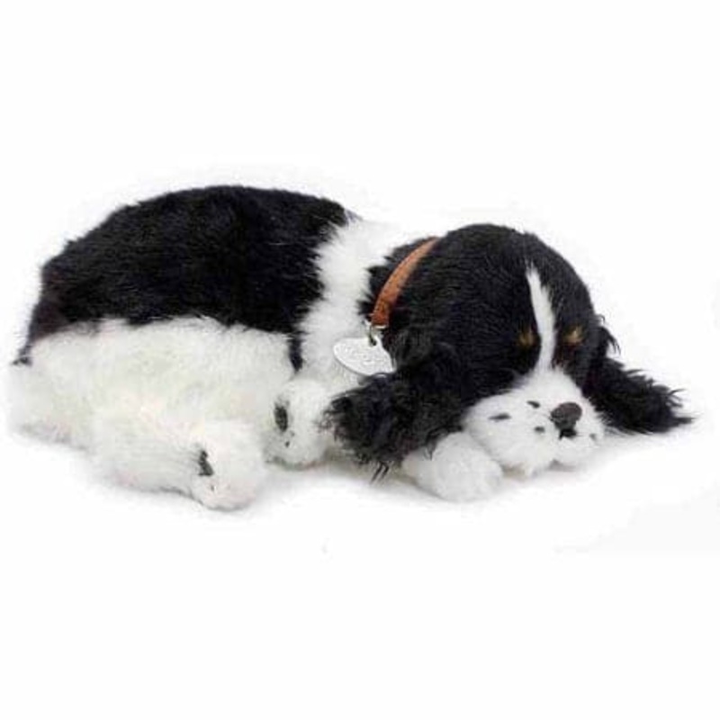 Perfect Petzzz Cocker Spaniel