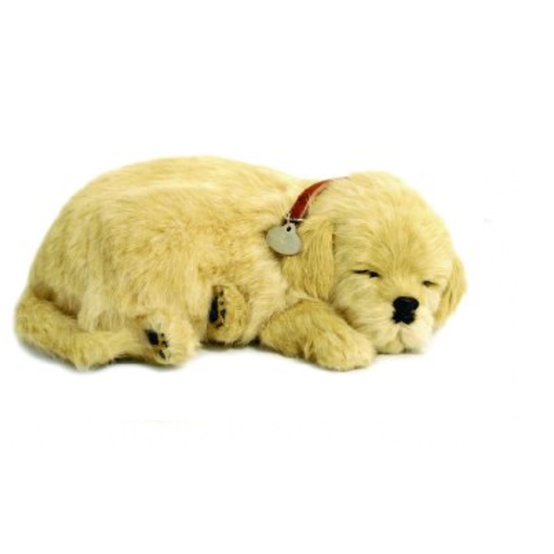Perfect Petzzz Golden Retriever