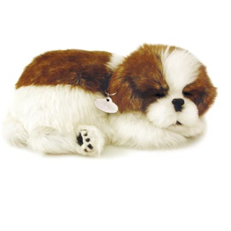 Perfect Petzzz Shih Tzu