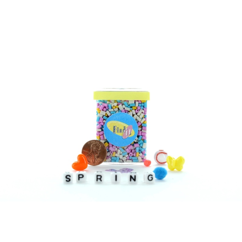 Spring Mini – Find and Seek Scavenger Hunt