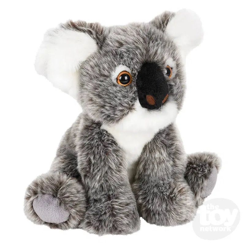 12 Heirloom Floppy Koala