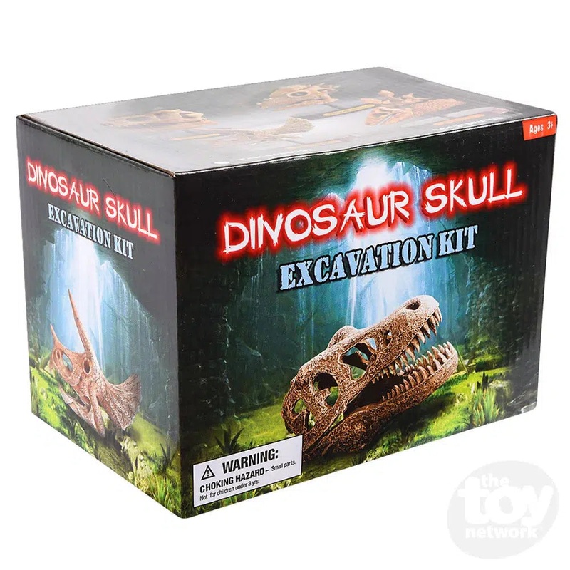 6.5 Dinosaur Skull Excavation Dig Kit T-Rex