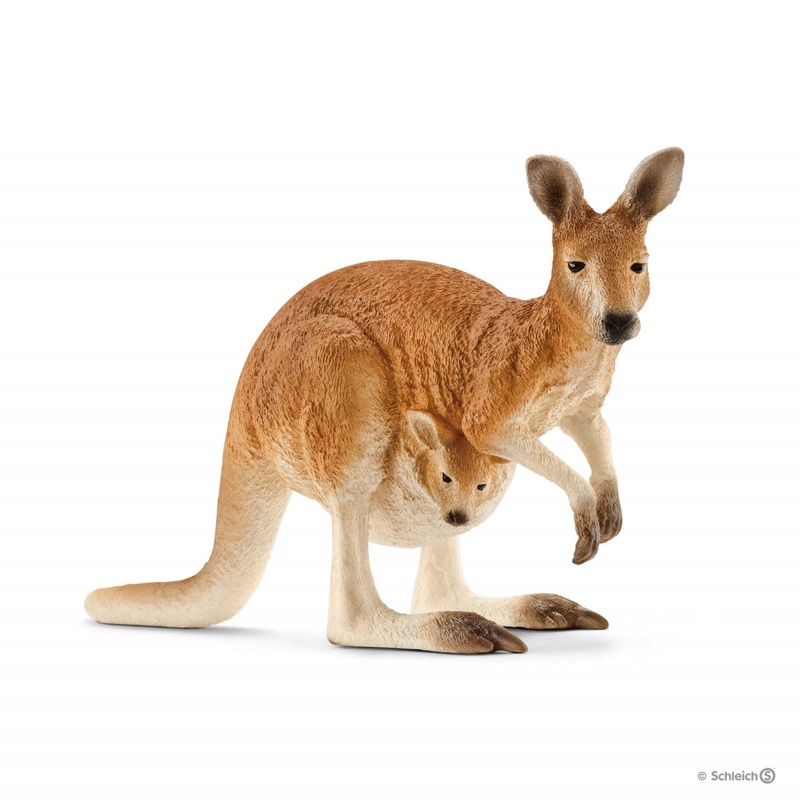 Kangaroo