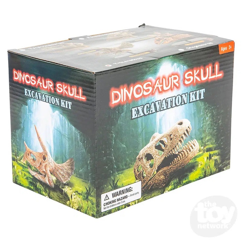 6.5 Dinosaur Skull Excavation Dig Kit Triceratops