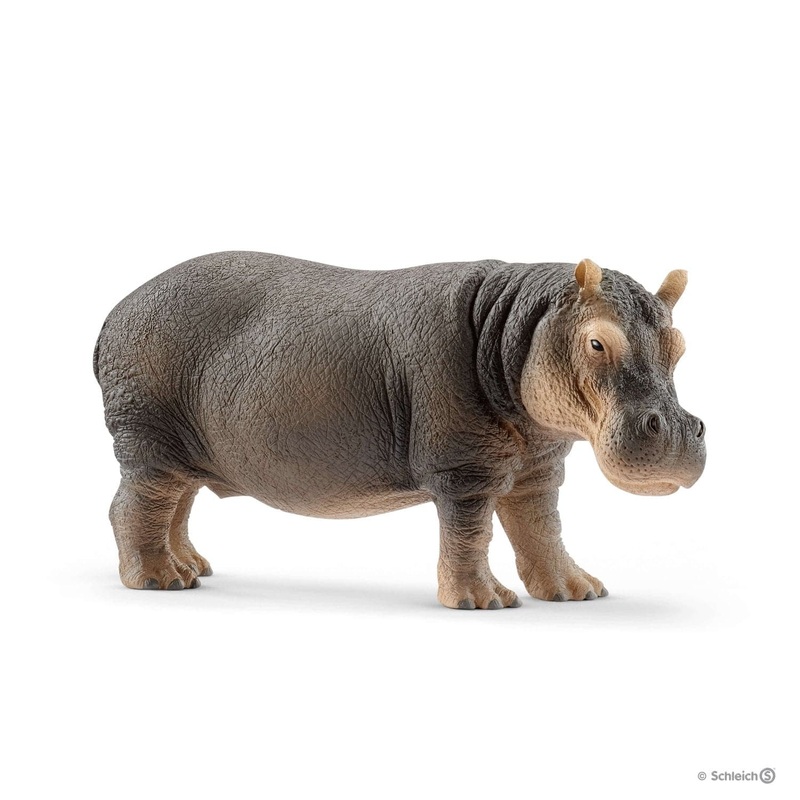 Hippopotamus