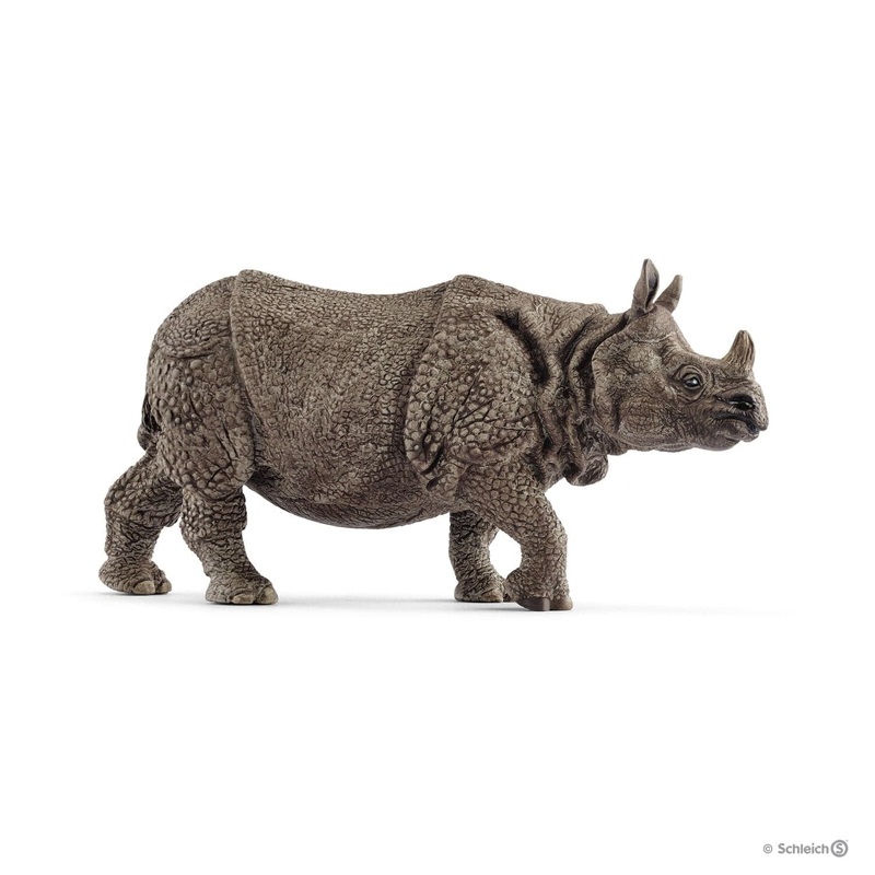 Indian Rhinoceros