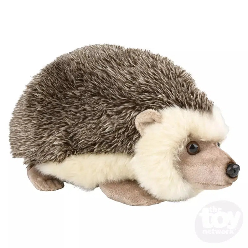 12 Heirloom Hedgehog