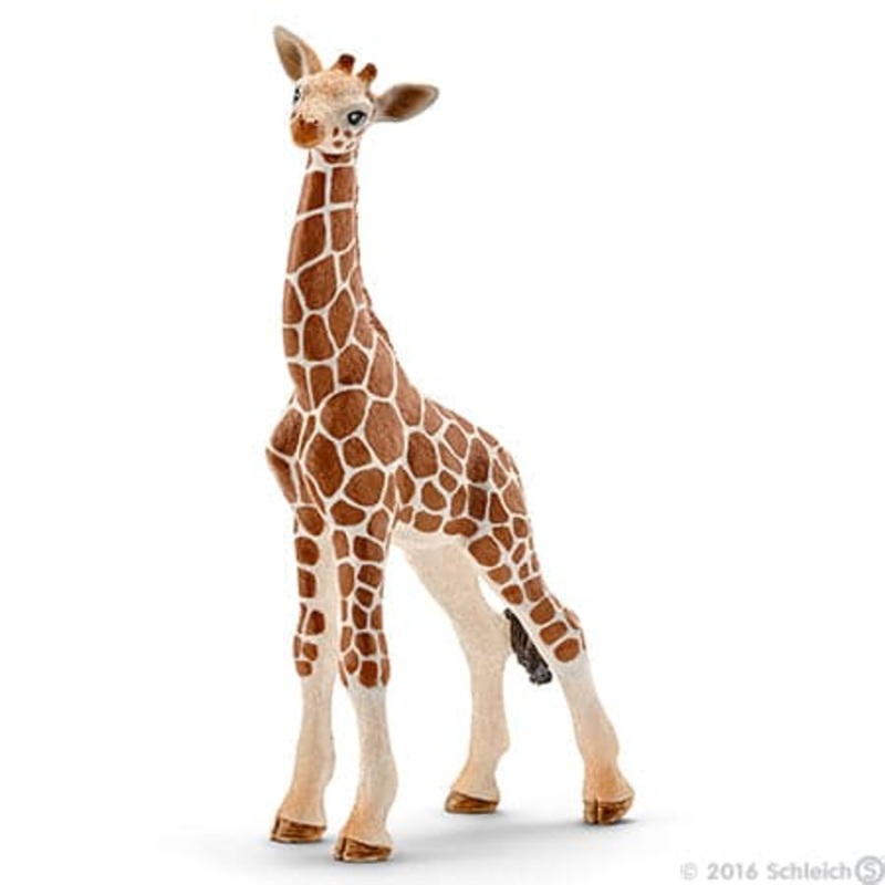 Giraffe Calf