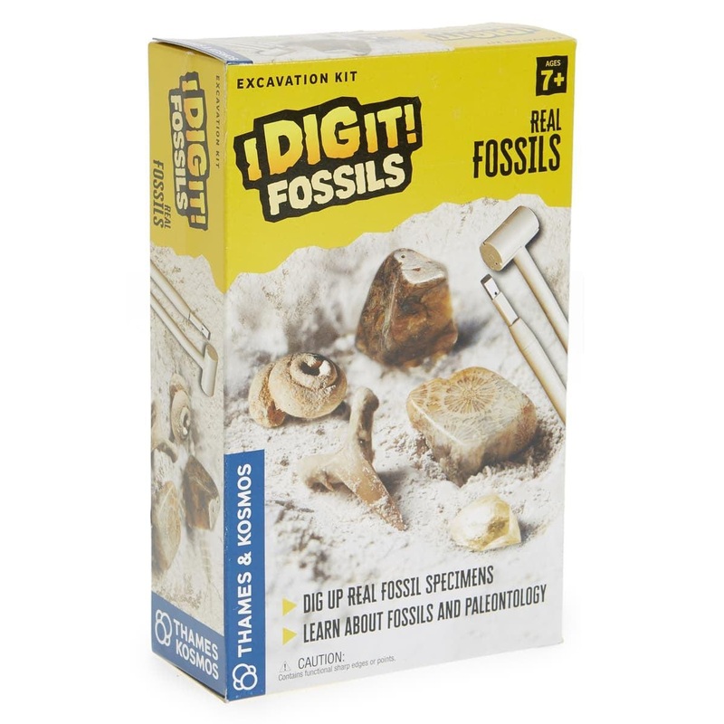 I Dig It! Fossils – Real Fossils Excavation Kit