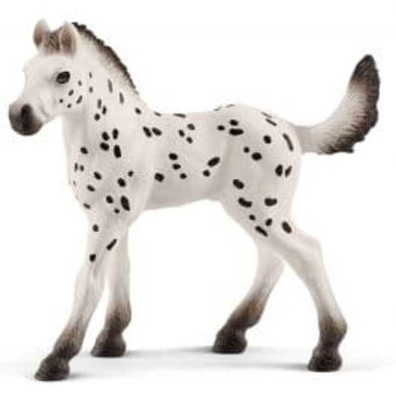 Knabstrupper Foal