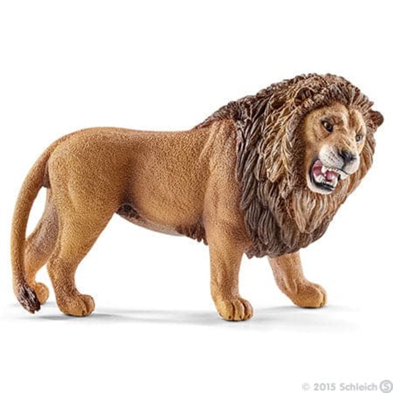 Lion, Roaring