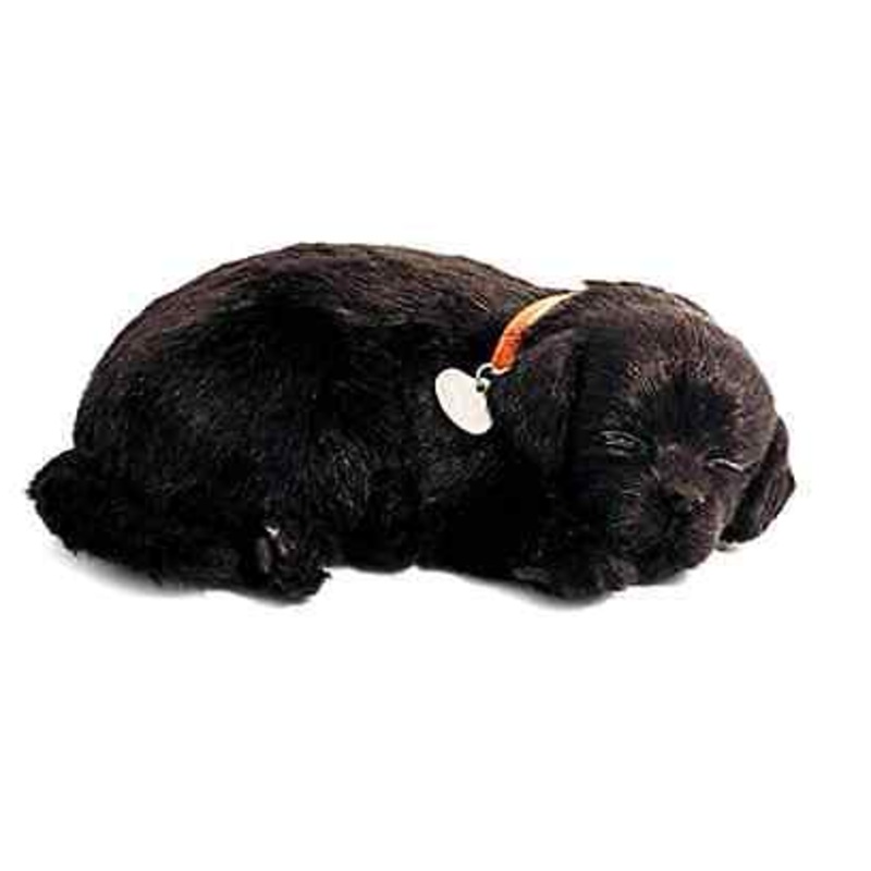 Perfect Petzzz Black Lab
