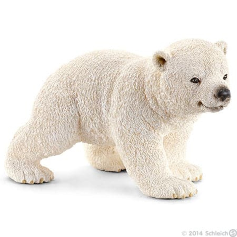 Polar Bear Cub, Walking